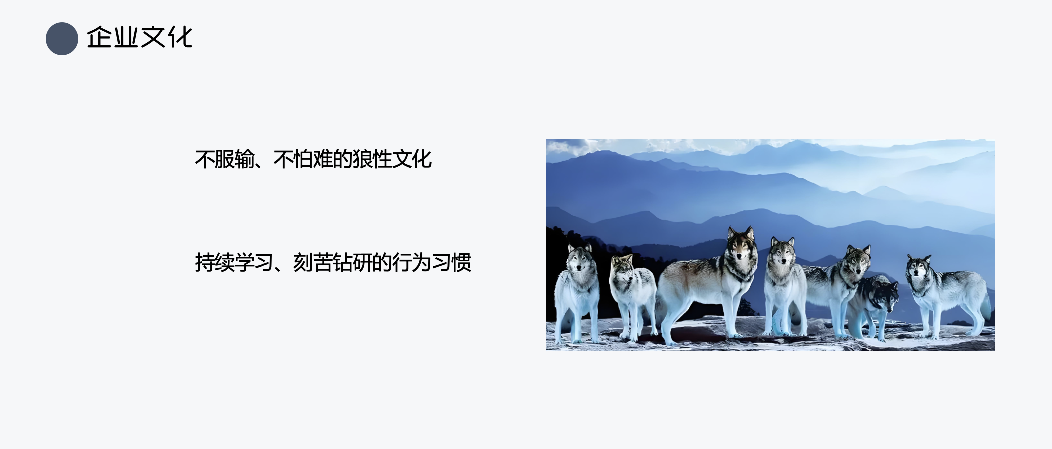 https://www.ahqianyue.com/uploads/images/20250312/20250312080130304a30081.png